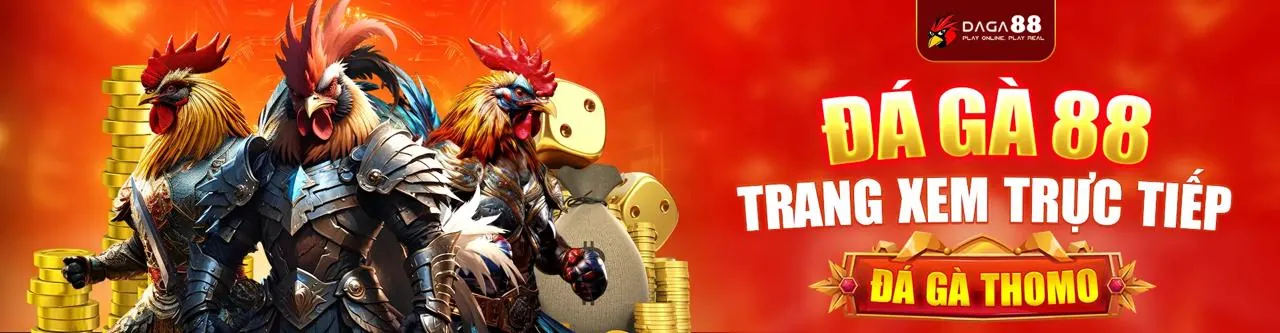 Đá Gà Trực Tuyến bg88 - Chiến kê đang giao đấu