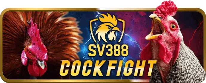 Ưu tiên rút tiền cho thành viên VIP bg88